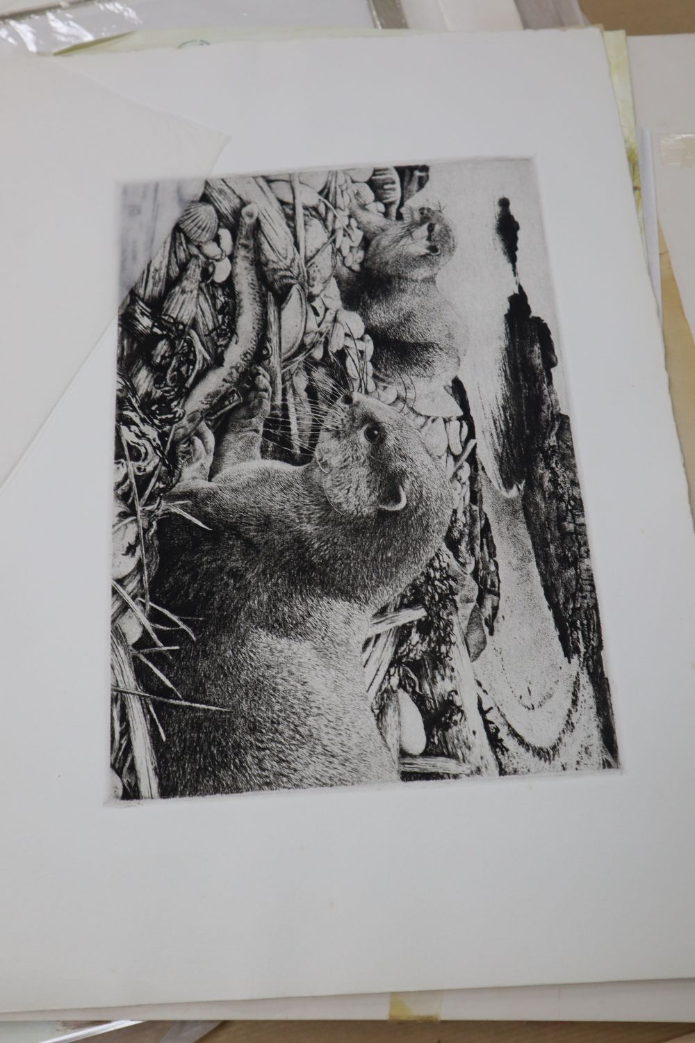 Timothy Greenwood (1946-2010), a folio of assorted etchings, all wildlife studies, together with a watercolour of a field mouse, 26 x 2